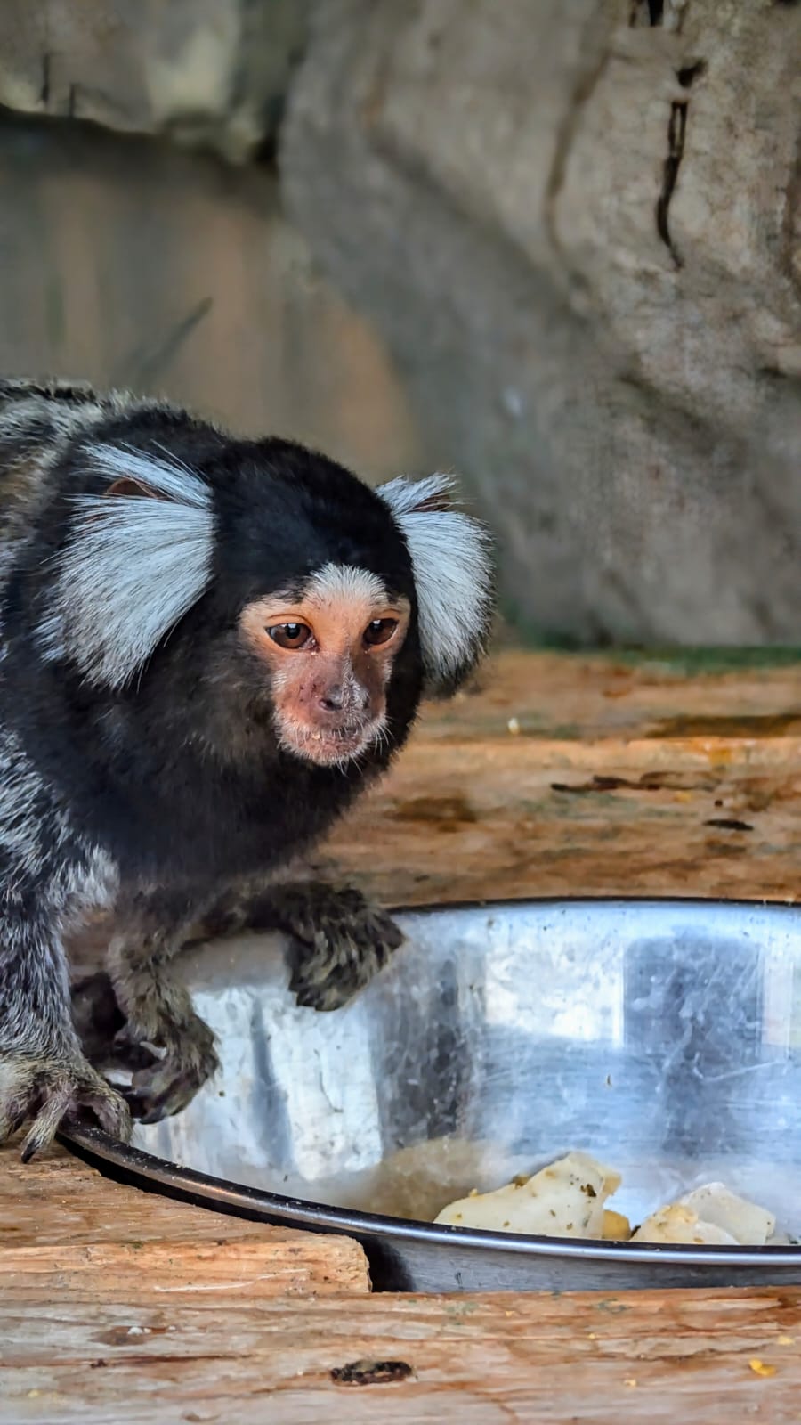 48 Hours In Abu Dhabi: A Perfect Blend Of Culture, Luxury, And Adventure